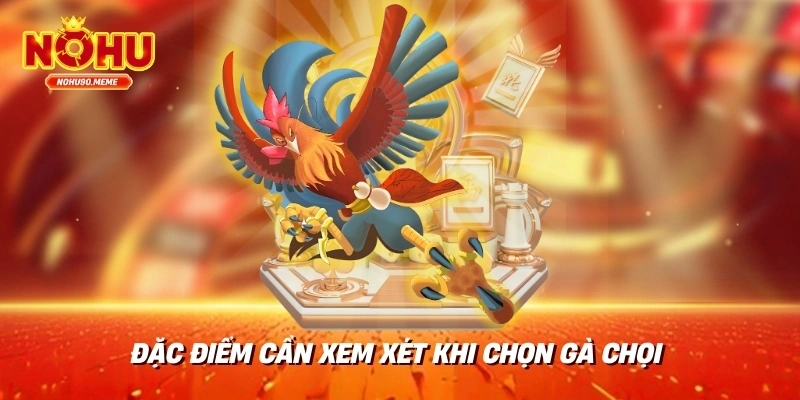 Đặc điểm cần xem xét khi chọn gà chọi